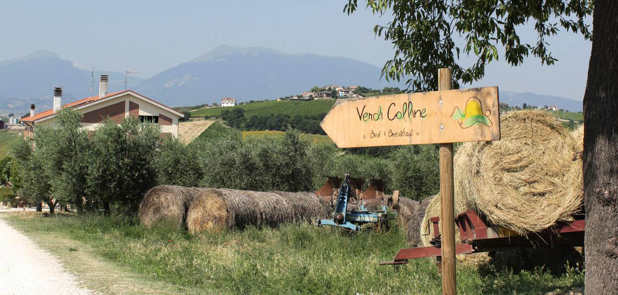 Verdi Colline Bed and breakfast Controguerra (Te) Abruzzo